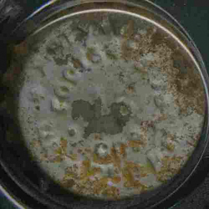 Photo of variation RU420102-1007.16